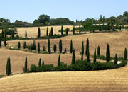 Peter Langhout Reizen